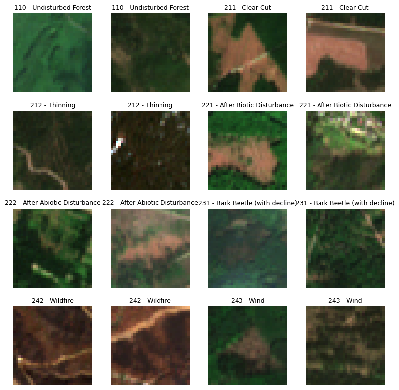 Examples of Labelled Sentinel 2 Chips